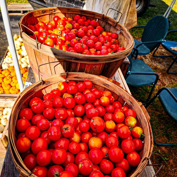 Lead Creek Farm - Hawesville, KY