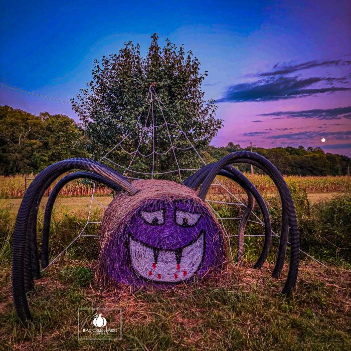 Lead Creek Farm - Hawesville, KY