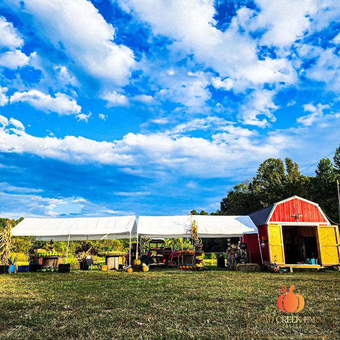 Lead Creek Farm - Hawesville, KY