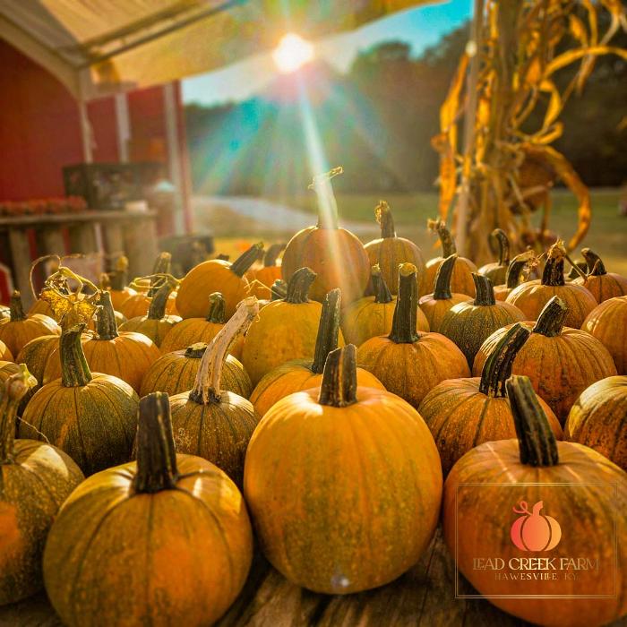 Lead Creek Farm - Hawesville, KY