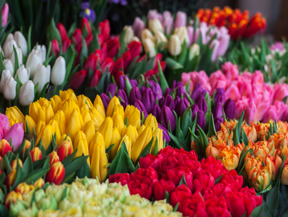 Wessel's Florist - Gwynn Oak, MD