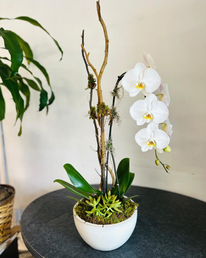 Wilhide's Unique Flowers & Gifts - Ellicott City, MD