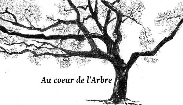 Au coeur de l'arbre Expert