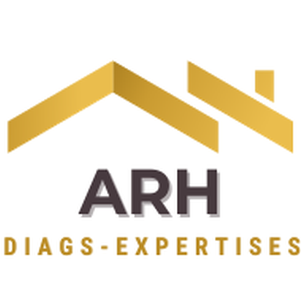ARH Diags-Expertises hôpital