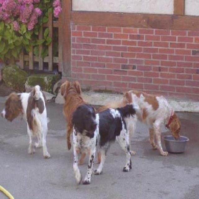 galerie image galerie image