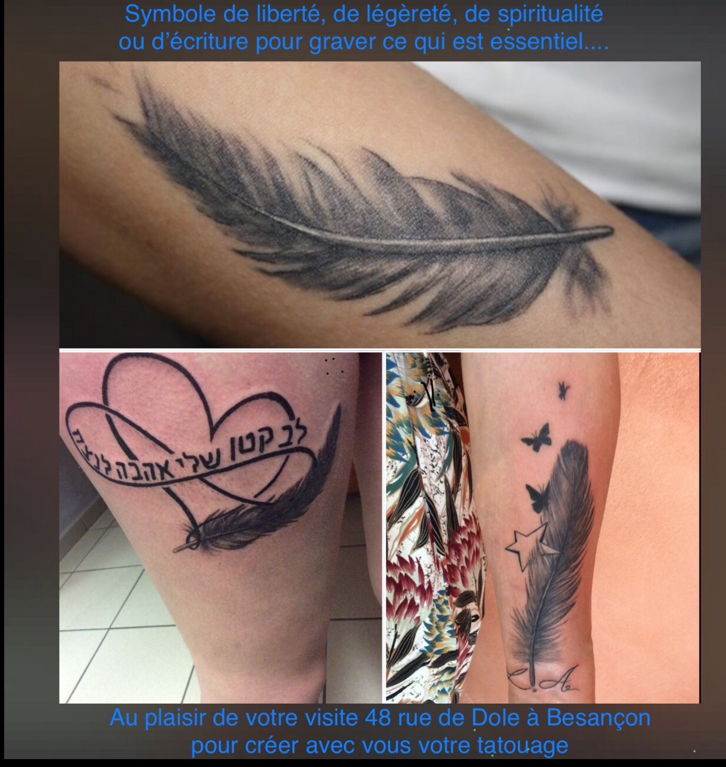 galerie image