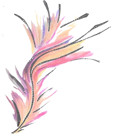 Editions Plume de Soi Autres services