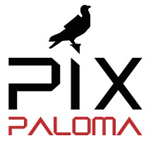 Pix Paloma Expert