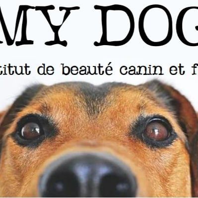 MY DOG Toilettage canin félin