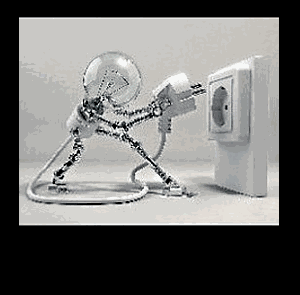 Daraignez Alain EURL Expert