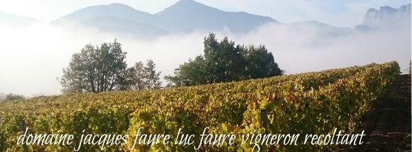 Clairette De Die Jacques Faure EARL entrepôt et magasin général