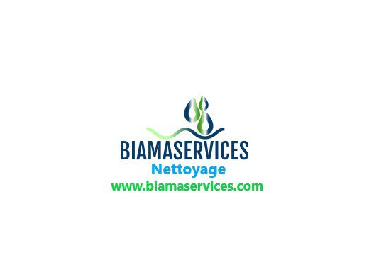 Biamaservices vidange et curage