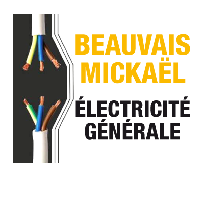 Beauvais Mickaël électricité (production, distribution, fournitures)