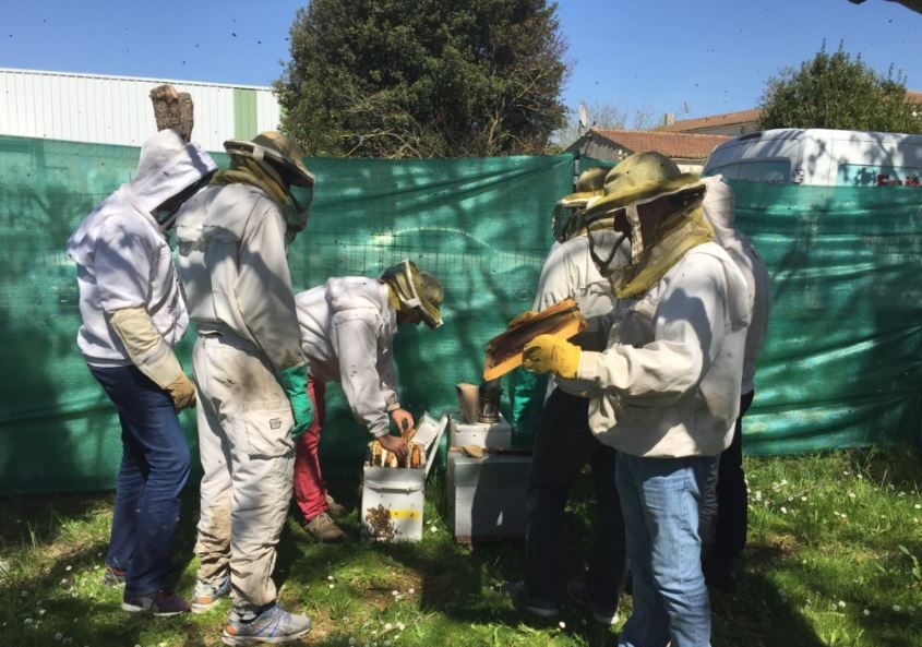 galerie image galerie image