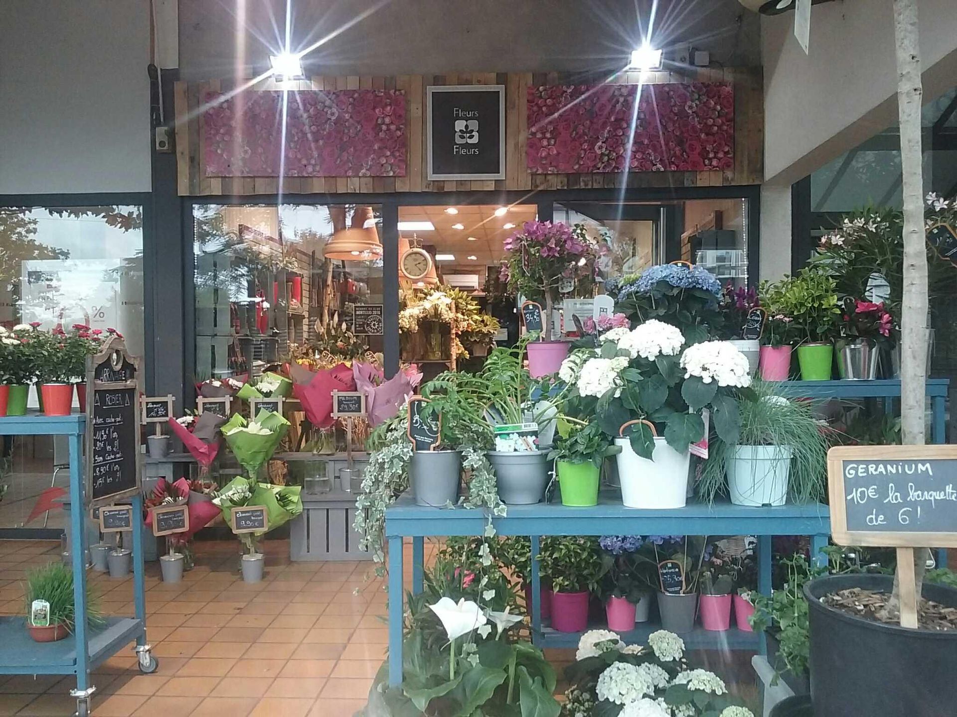galerie image