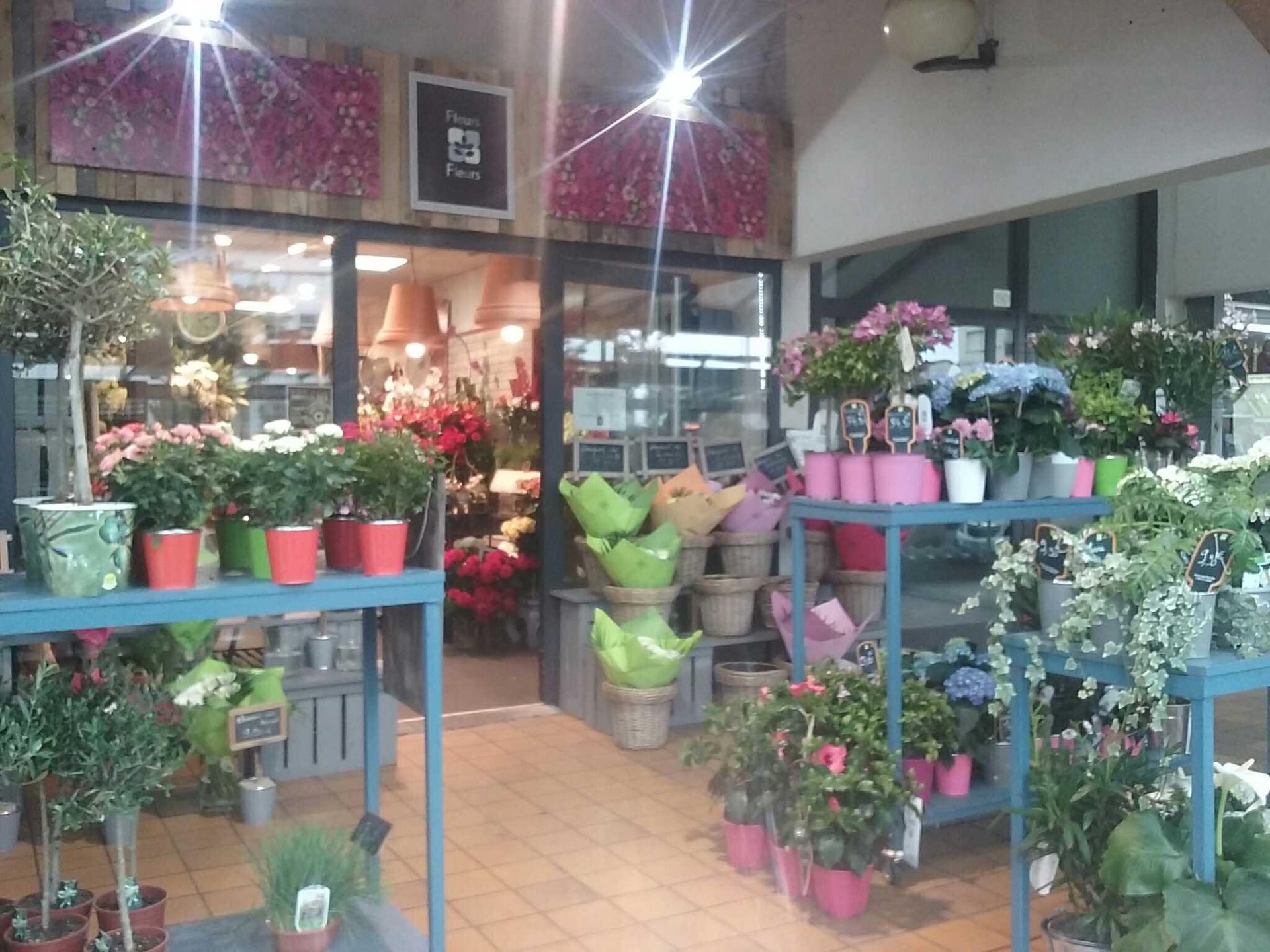 galerie image