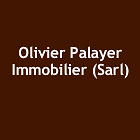 Olivier Palayer Immobilier Sarl expert en immobilier