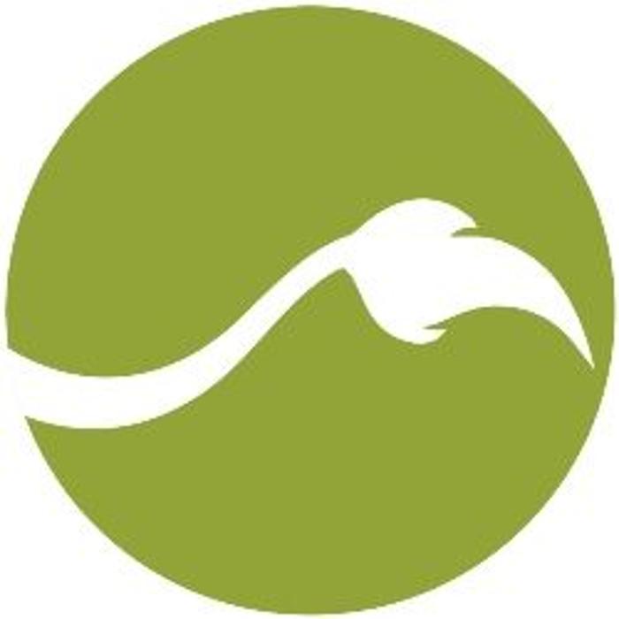 Lionheart Children's Academy at Life Fellowship Logo