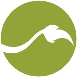 Circular Image