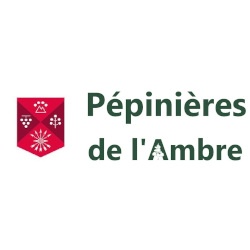 Les Pépinieres De L'ambre SCEA jardinerie, végétaux et article de jardin (détail)