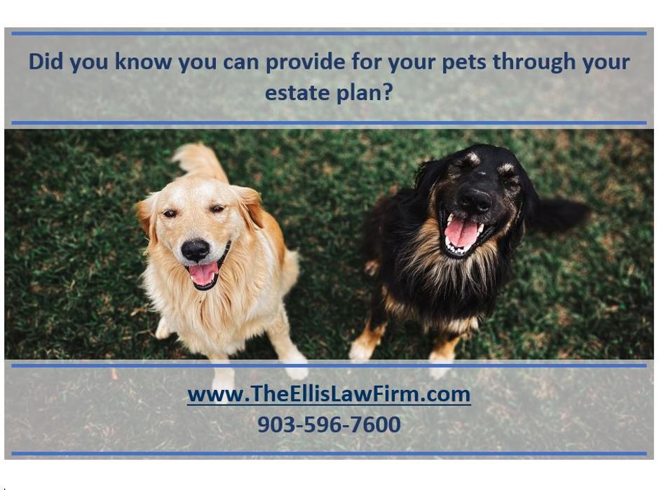 The Ellis Law Firm, PLLC - Tyler, TX