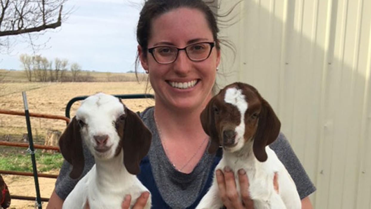 Marshfield Veterinary Service Image