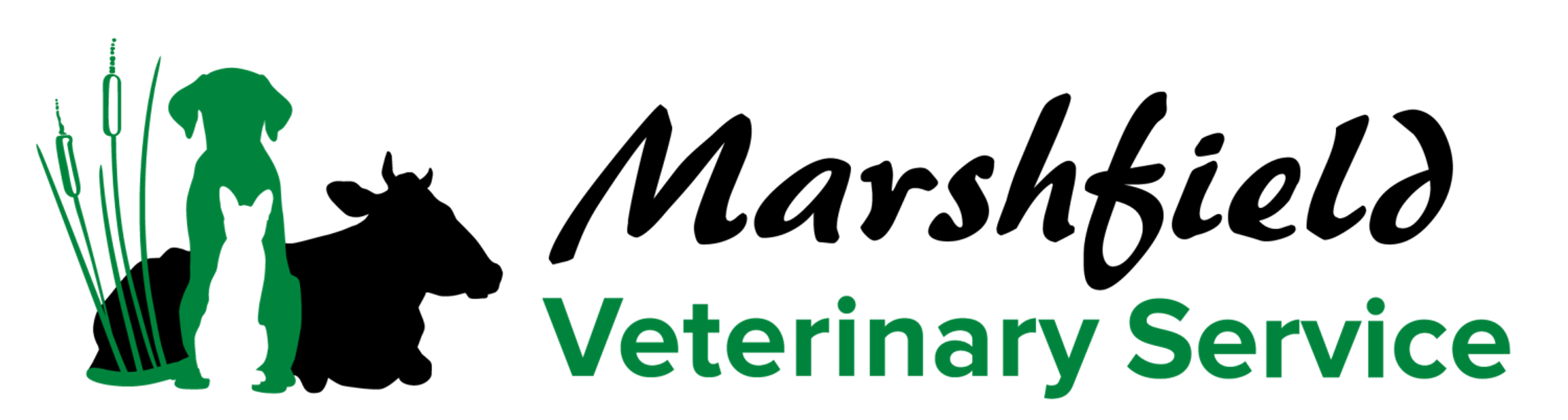 Marshfield Veterinary Service