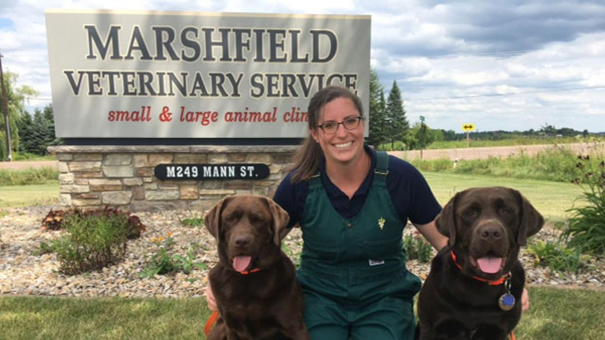Marshfield Veterinary Service Image
