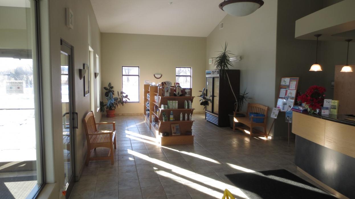 Marshfield Veterinary Service Image