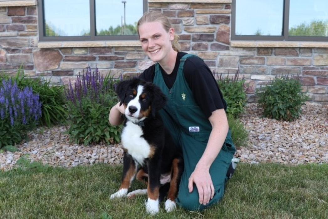 Marshfield Veterinary Service Image