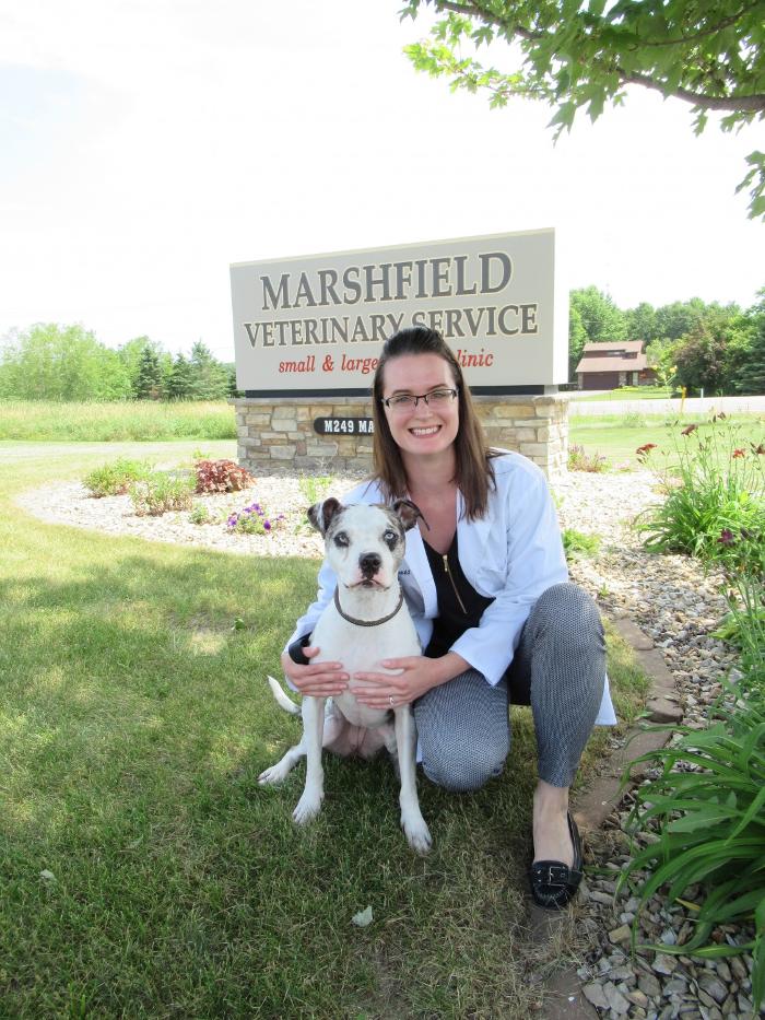Marshfield Veterinary Service Image
