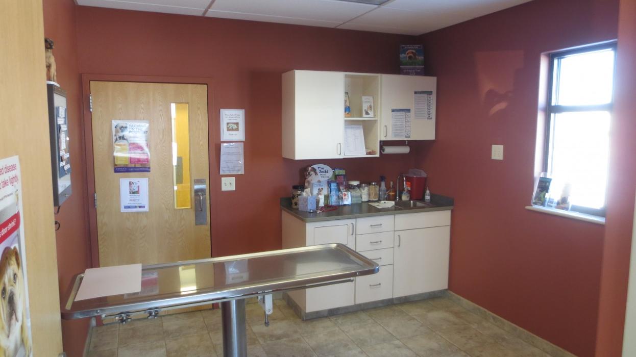 Marshfield Veterinary Service Image