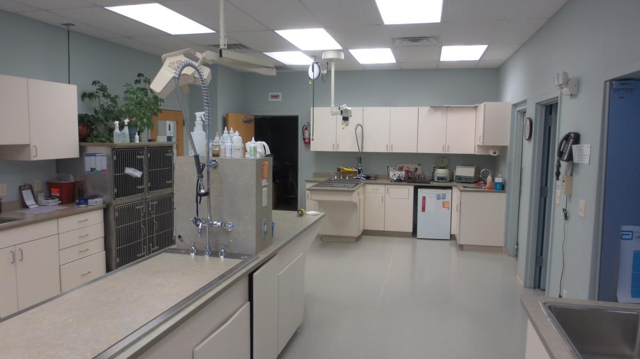 Marshfield Veterinary Service Image