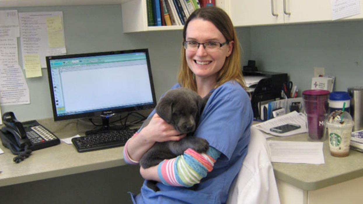 Marshfield Veterinary Service Image