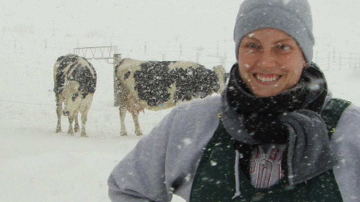 Marshfield Veterinary Service Image