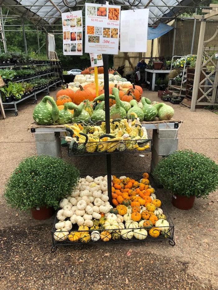 Horticare Landscape Companies - Little Rock, AR