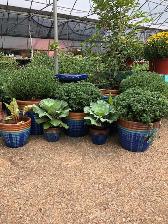 Horticare Landscape Companies - Little Rock, AR