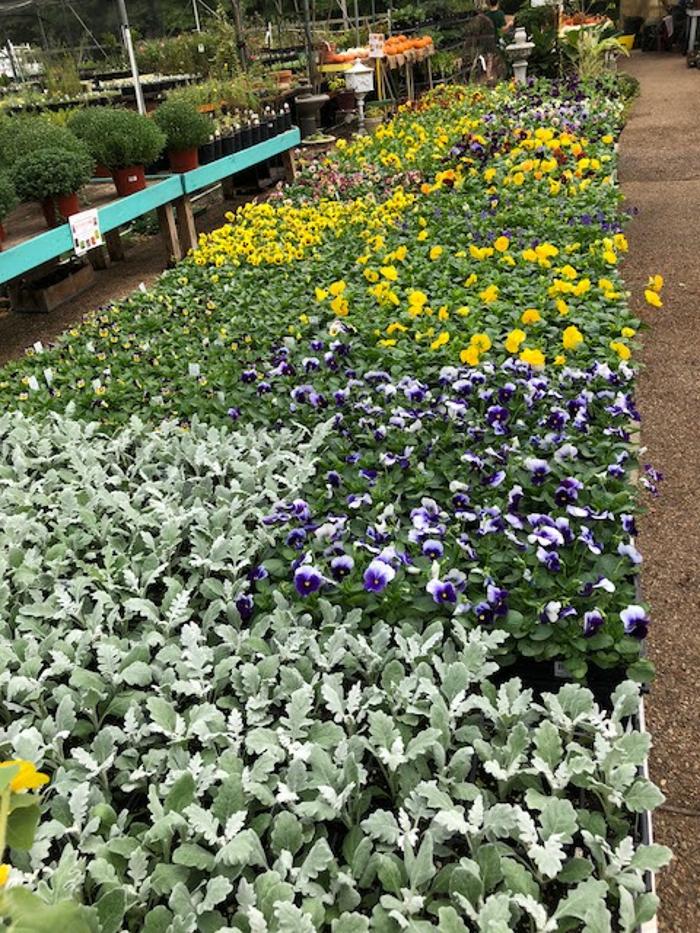 Horticare Landscape Companies - Little Rock, AR