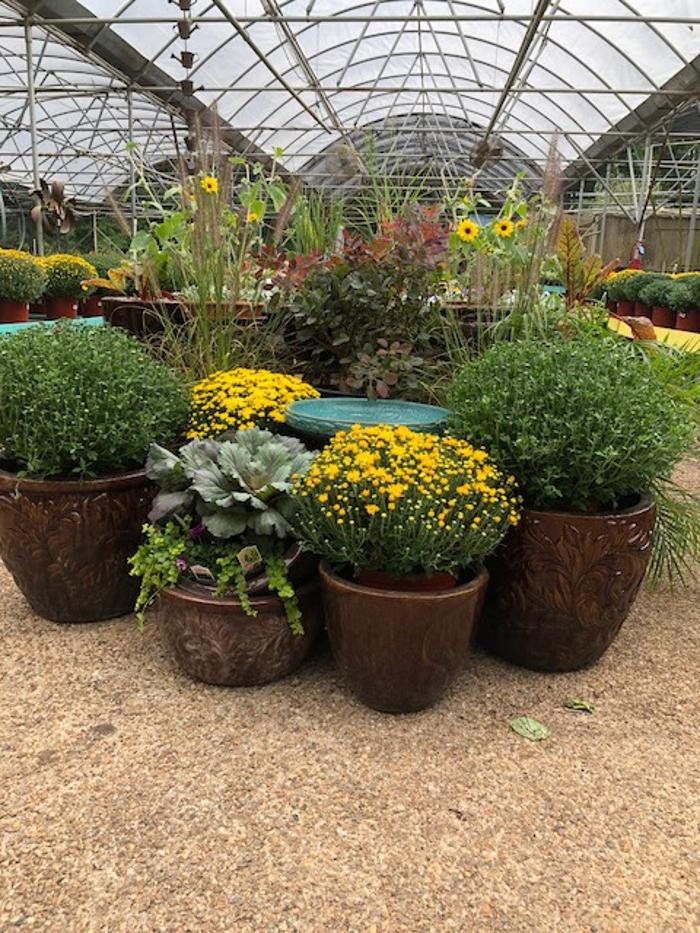 Horticare Landscape Companies - Little Rock, AR
