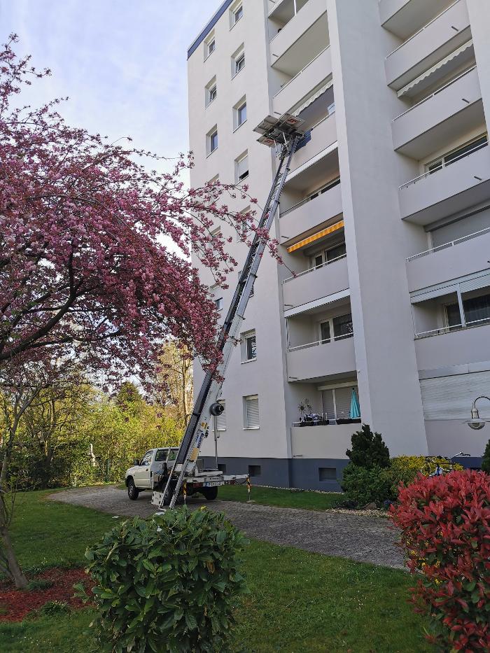 König Umzüge, Carl-Sonnenschein-Straße in Bergheim