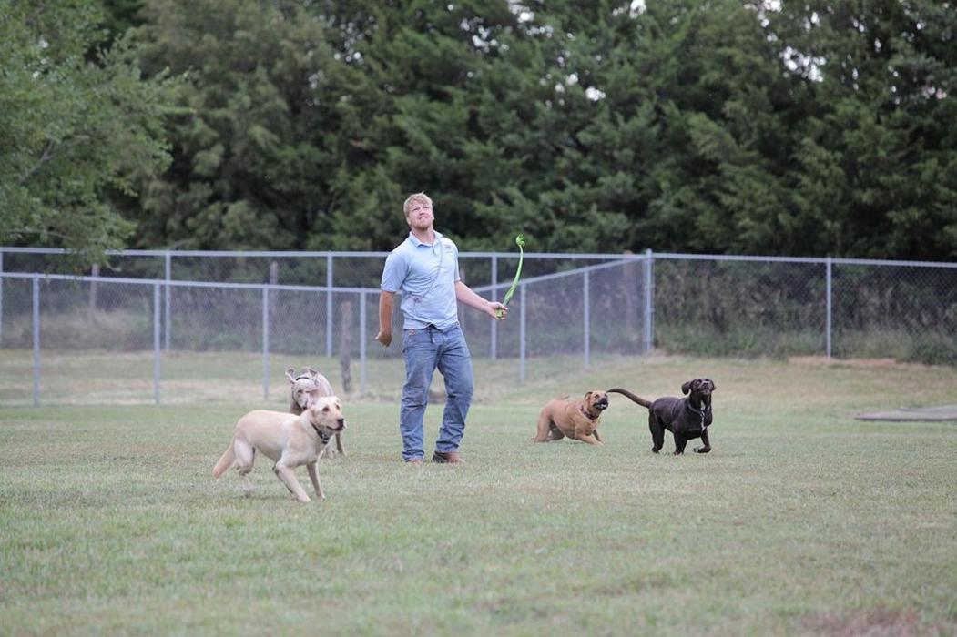 Chisholm Creek Pet Resort, 6260 North Hillside Street, Wichita, KS