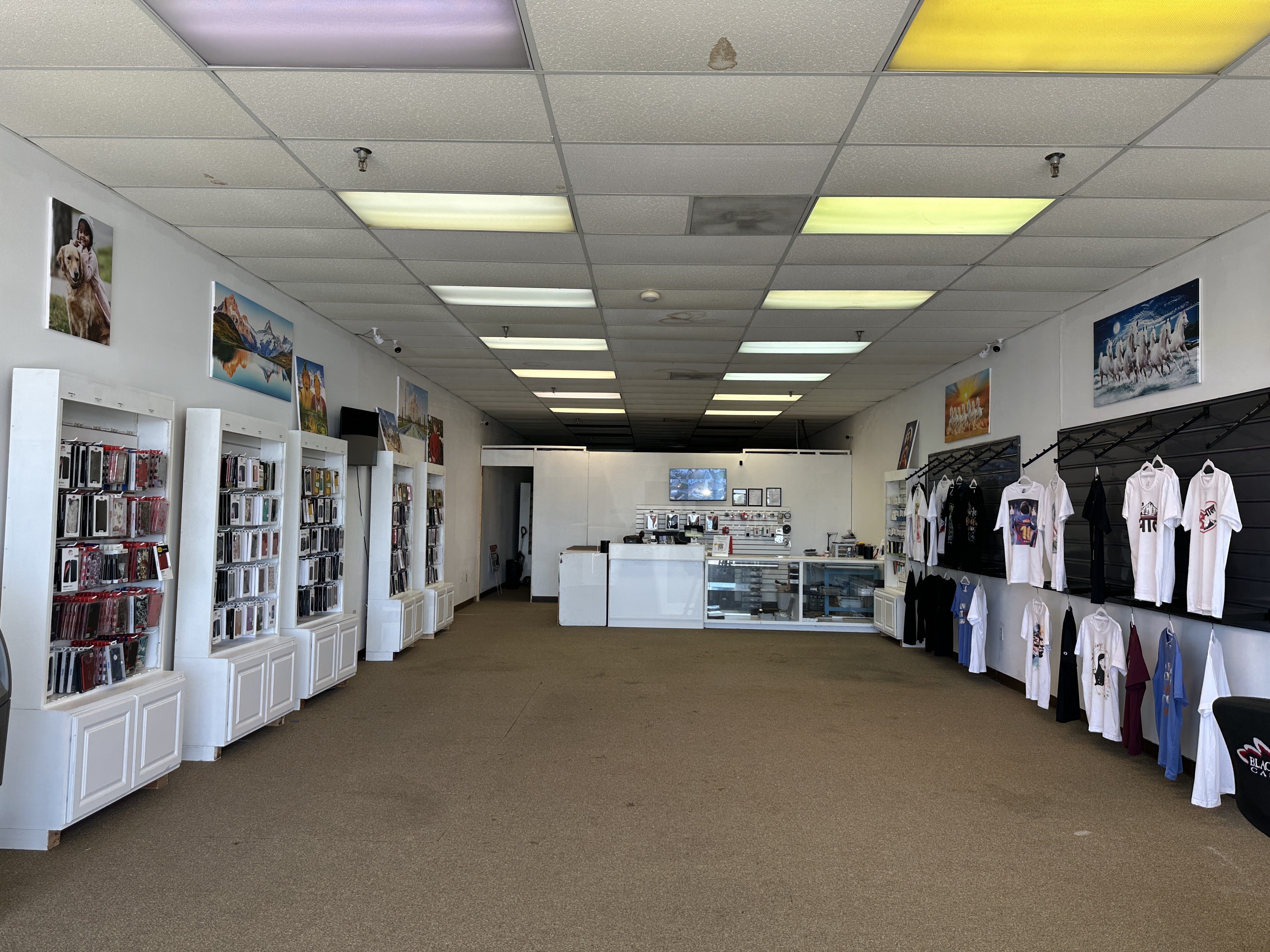 Gallery thumbnail