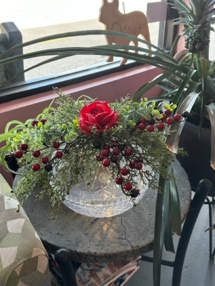 Paws Pet Spa and Boutique 8 Image