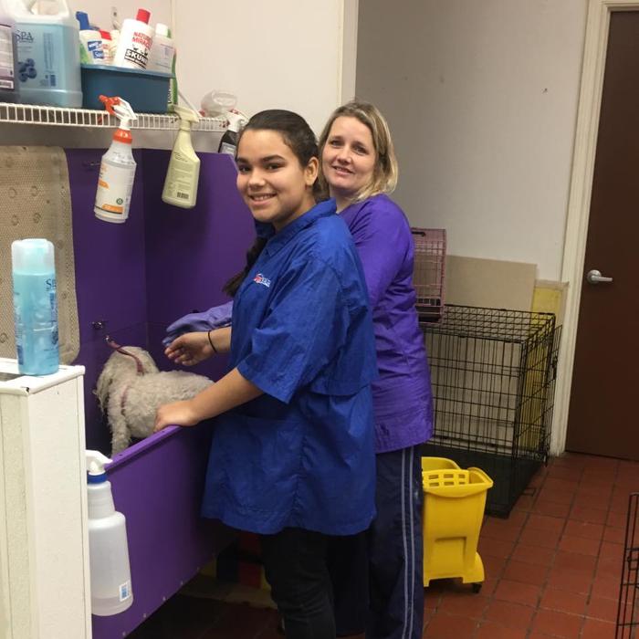 Paws Pet Spa and Boutique 8 Image