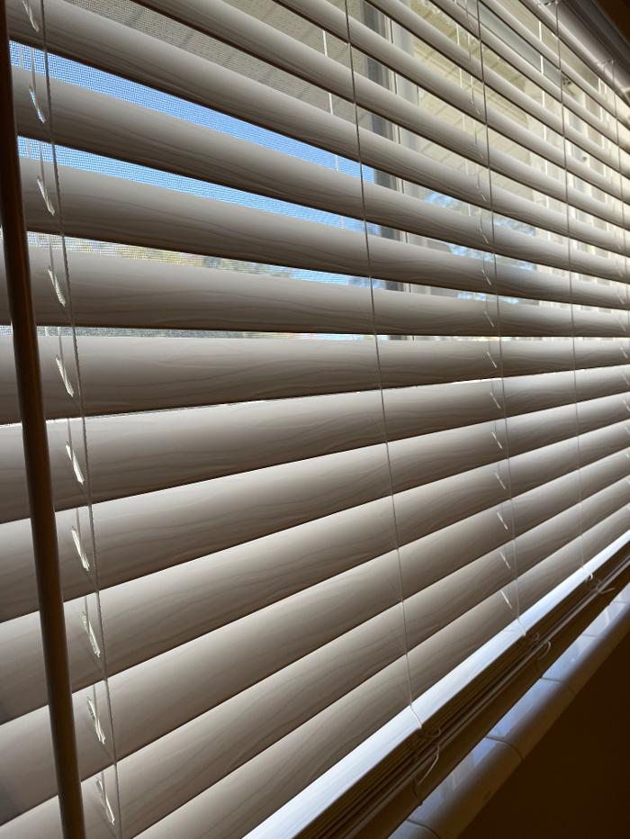 JJ Cleaning - New Port Richey, FL