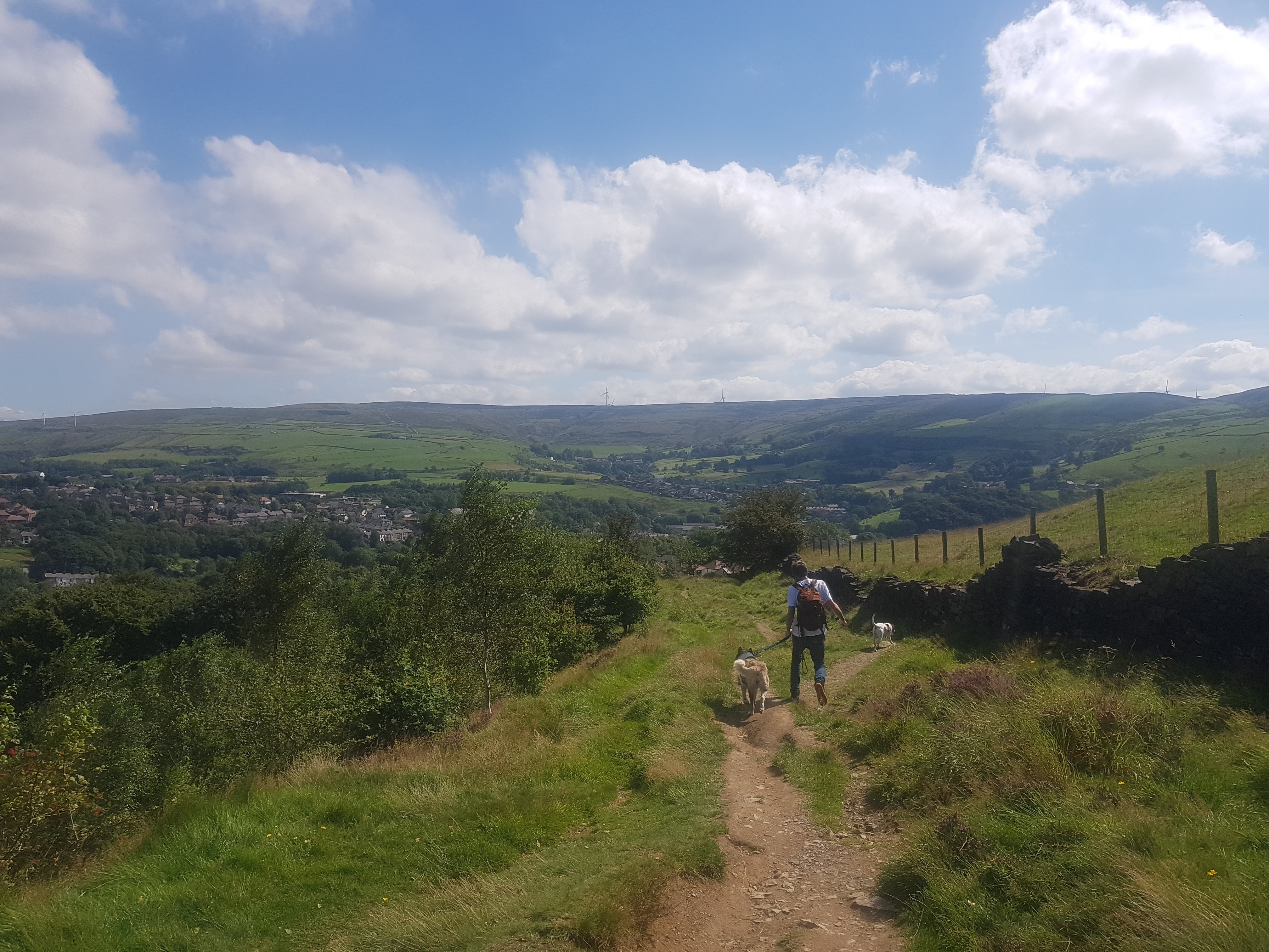 Walk-Ease - Rossendale, Lancashire - 07497 900655 | ShowMeLocal.com