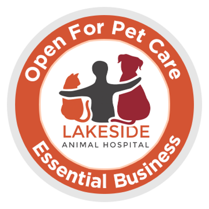 Lakeside Animal Hospital - Odessa, FL