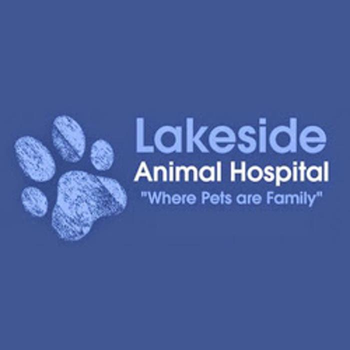Lakeside Animal Hospital - Odessa, FL