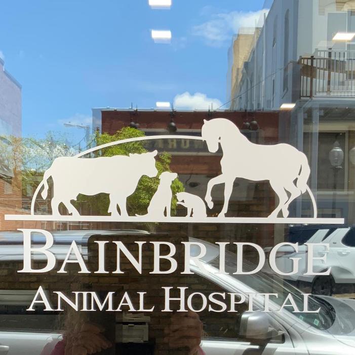 Bainbridge Animal Hospital - Bainbridge, GA