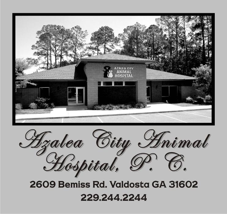 Azalea City Animal Hospital - Valdosta, GA